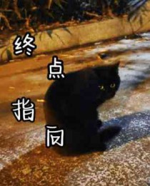 终点的终什么意思