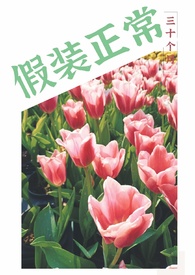 假装正经的人经典语录