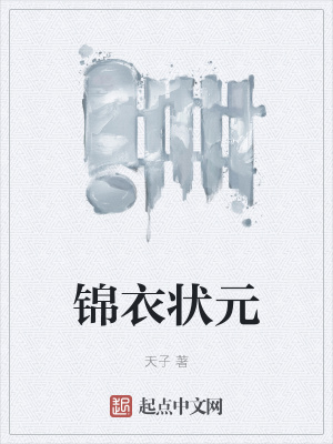 锦衣状元小说 天子