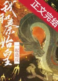 和秦始皇一起造反赵不息