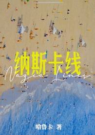 纳斯卡之线之谜图片